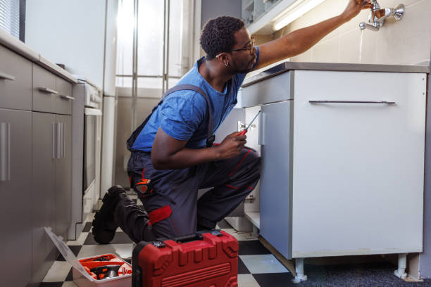 Best Plumbing Inspection Services  in Sun City, AZ
